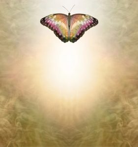 Multi-colored butterfly in radiant light representing overcoming fear with divine help and metamorphosis into spiritual purpose