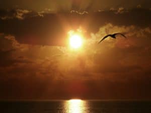 Beginning the heroine's journey — one soul searching for answers, flying alone toward the blazing sun before her ADHD diagnosis changed everything