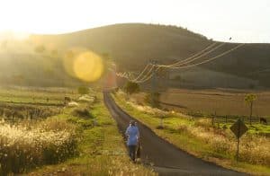 A solitary figure walks away from the camera down an infinite road bathed in golden light